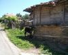 Park Strandja - Houses - A short rest in the shadow of an old house in Stoilovo village, Strandja
